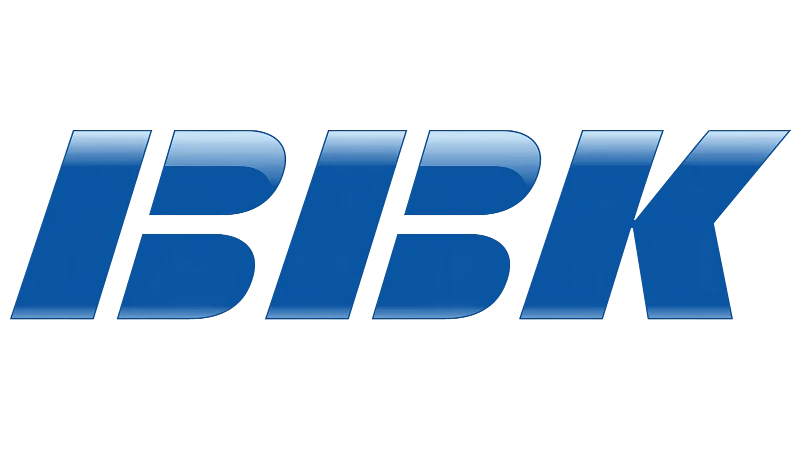 BBK talking pen BBK talking pen